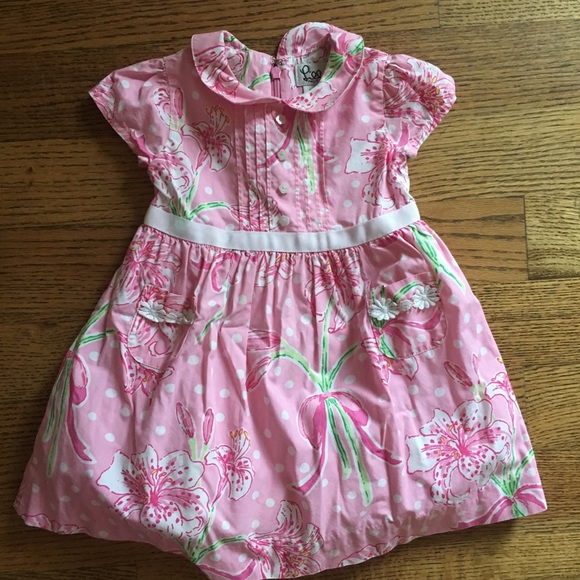 Lilly Pulitzer Other - Lilly Pulitzer Floral Dress